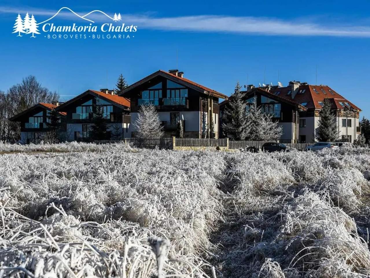 Chamkoria Chalets Borovets Extérieur photo